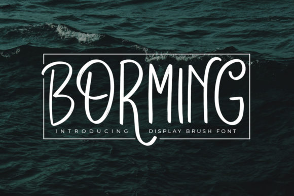 Borming Font: A Web Designer's Review for Digital Impact