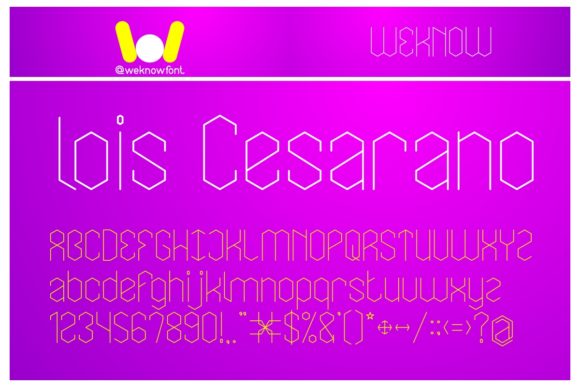 Lois Cesarano: A Designer's Honest Review for Real Projects