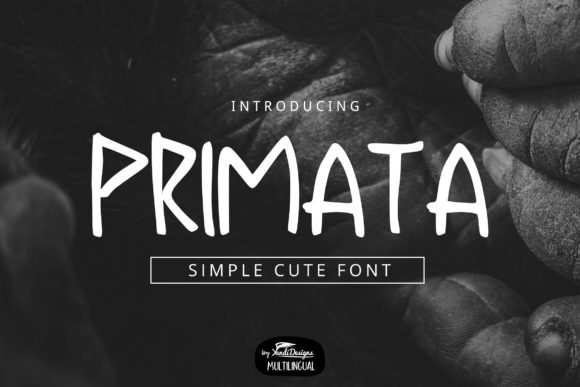 Why Primata Might Be Your New Favorite Business Font